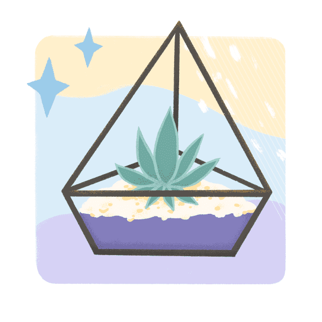 A terrarium with a succulent in it, made during a team event.